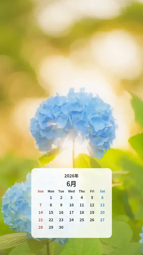 光をまとう紫陽花のカレンダー壁紙