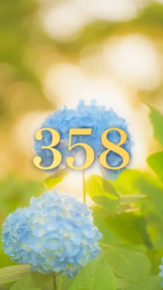 光をまとう紫陽花の開運数字壁紙